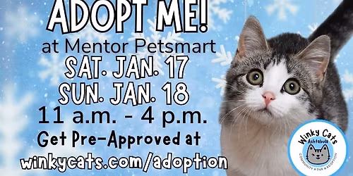 Winky Cats Ashtabula Adoption Event Jan. 17 & 18, 2026 at Mentor Petsmart