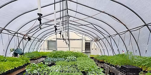 Herb & Garden Faire 2026