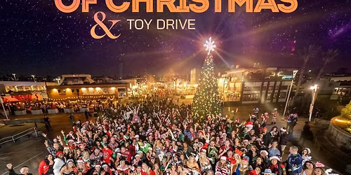 12 Bars of Christmas \u2013 29th Annual Pub Crawl & Toy Drive