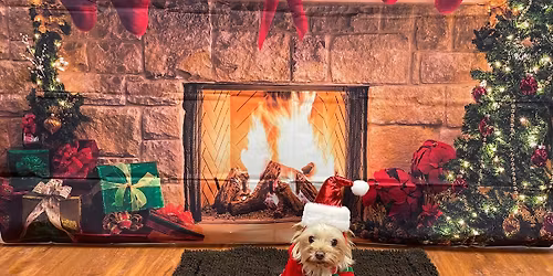 Christmas Photos at Pet Valu Haliburton