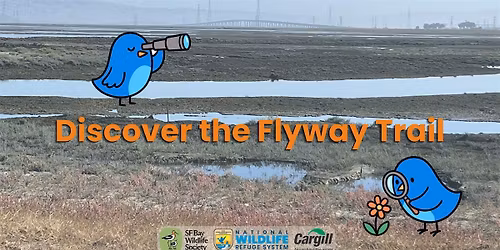 Discover the Flyway Trail