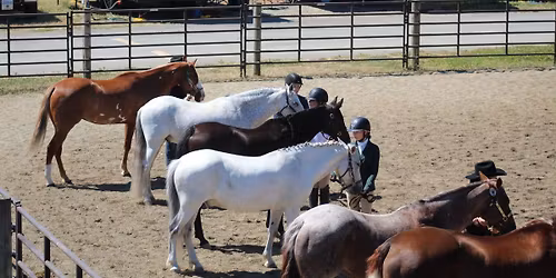 Sunshine Summit Pre-Fair & Open Show