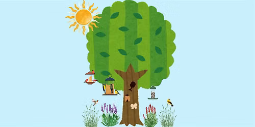 Kids Club: What's Up with Summer Feeding!
