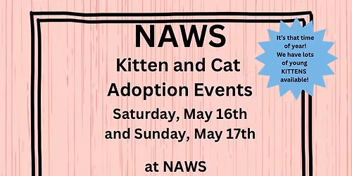 NAWS "Spring Into Love" Kitten and Cat Adoption Event
