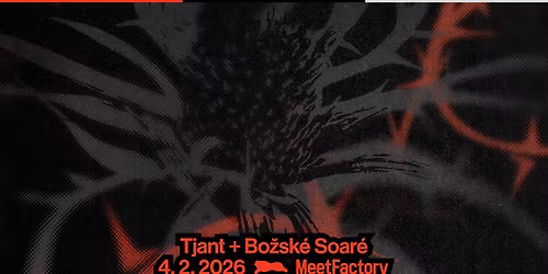 Tjant + Bo\u017esk\u00e9 Soar\u00e9