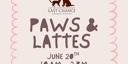 Paws & Lattes at CoHo Patchogue