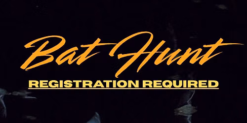 Bat Hunt (Registration Required)