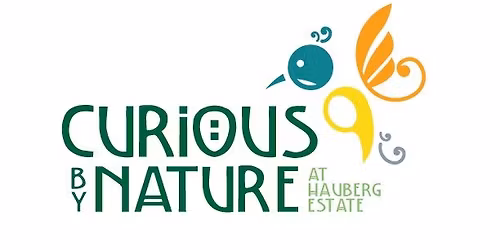 Sprouts, Streams and Forest Dreams -Curious By Nature