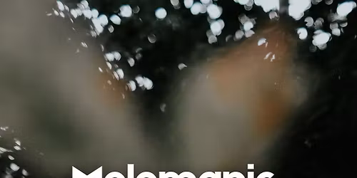 Melomanic @ Sunrooms2