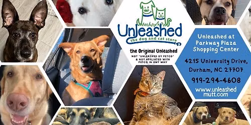 Pet Preview at Unleashed of Durham