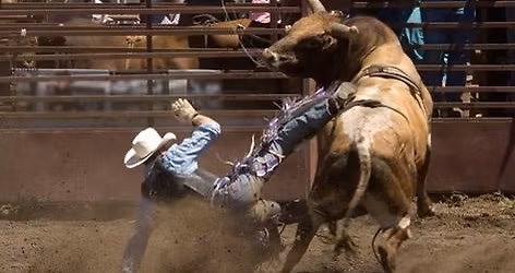 Brown County Bull Bash 