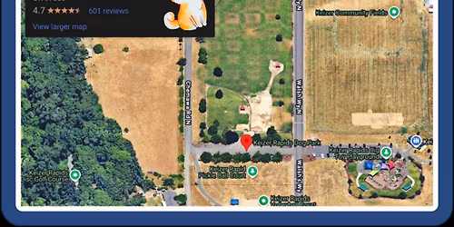 Nature Walk with the Sheebs