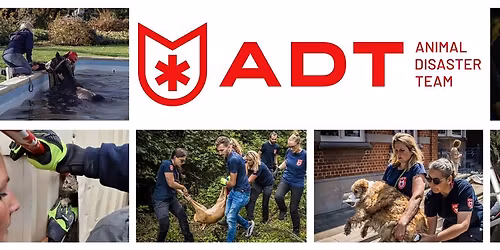 \ud83d\udc15 BALAD\u0415 CANINE \u2013 Animal Disaster Team