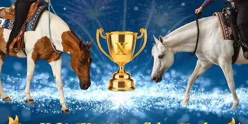 WESTERNOV\u00c9 WRC B, WRC HOBBY Z\u00c1VODY KR\u00c1LOVICK\u00dd DV\u016eR - 16.05.-17.05.2026