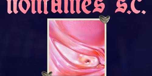 Nontaines S.C - Performing the music of Fontaines D.C