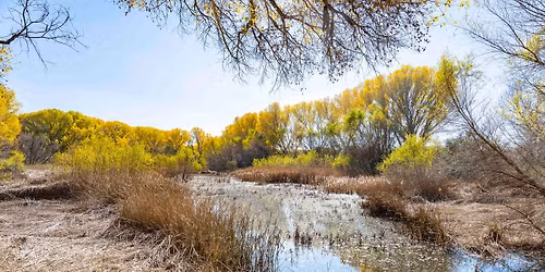 Nature Walk at the San Pedro House