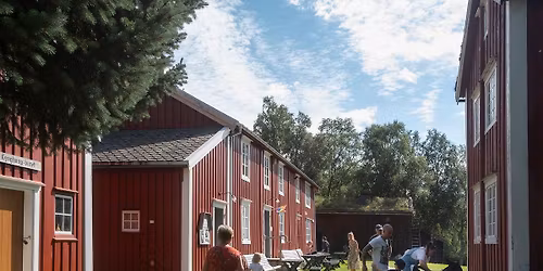 Aktivitetsdag p\u00e5 Vefsn Bygdetun