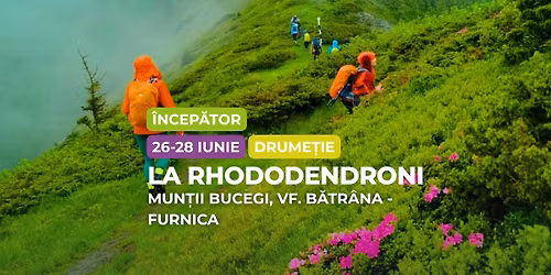 Drume\u021bie \u00eencep\u0103tor: Rhododendron \u00een Bucegi, V\u00e2rful B\u0103tr\u00e2na -  Furnica 