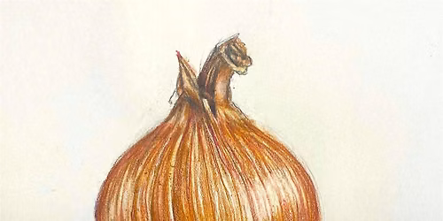 Drawing for the Terrified Beginner - For Adults