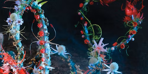  100 % Blume. Open House 2026 Powered by UNIQA