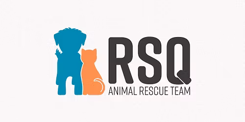 1st Annual Woof Walk