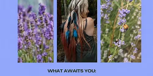 Gower Lavender Frequency Healing & Nidra Sound Bath