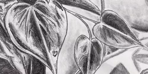 Beginning Drawing Workshop focusing on Materials with Glenda Bowles