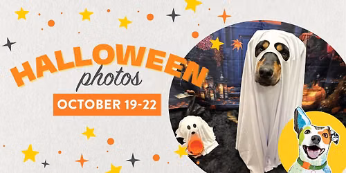 Halloween Photos