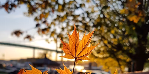 Om kampen mot psykisk oh\u00e4lsa och \u00e5ngest - f\u00f6rel\u00e4sning under h\u00e4lsodagar p\u00e5 temat psykiskt v\u00e4lm\u00e5ende