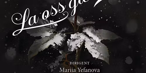 \u00abLa oss glede oss!\u00bb Julekonsert med S\u00f8m kirkekor