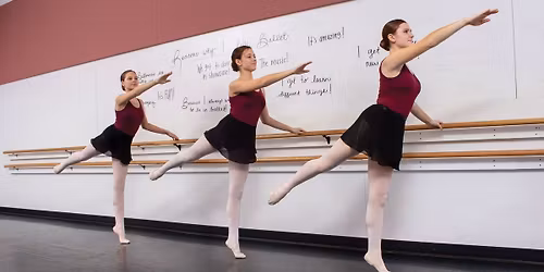 Adult Open Ballet: Session 2