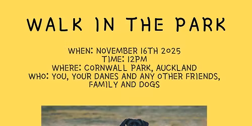 November Walk in the Park - Auckland