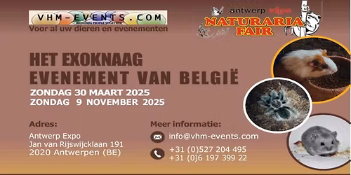 Naturaria Exoknaag Fair Antwerpen 09-11-2025