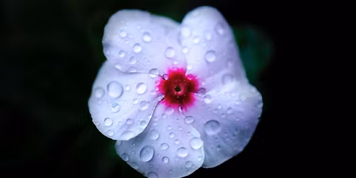 Verdiepingsweekend "Pad van de Ziel"