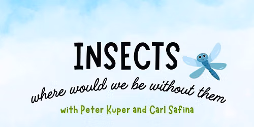 Insects - Where Would We Be Without Them?