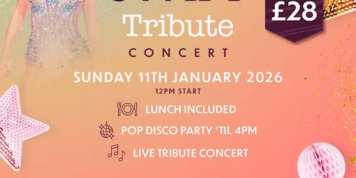 Taylor Swift Tribute