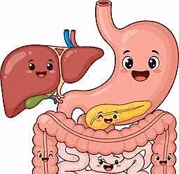 Digestive Health 101