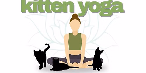 Kitten Yoga