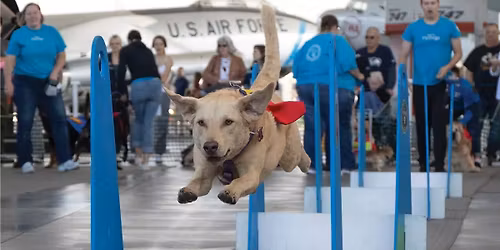 Seattle FlyDogs