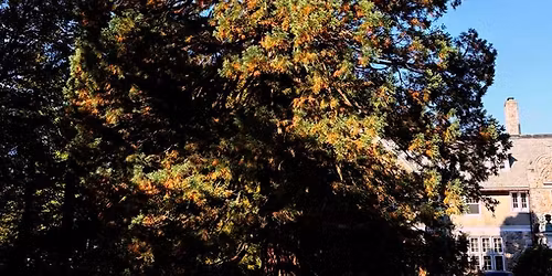 West Coast Conifers Tour with Dan Christina, Blithewold\u2019s Director of Horticulture