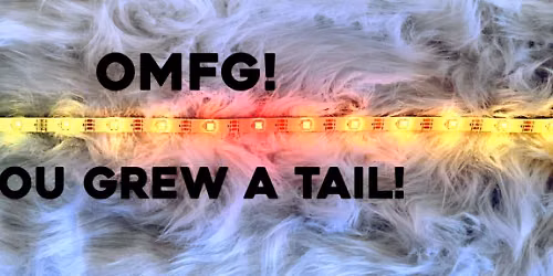 OMFG! You Grew a Tail!