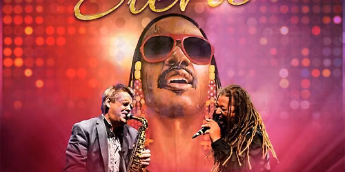 The Wonder of Stevie