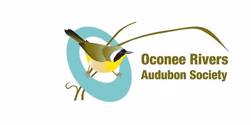 ORAS November Meeting: Tea Making and Tea Spilling: The Story of Yaupon Holly