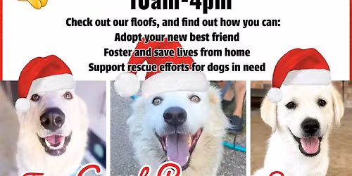 Texas Great Pyrenees Rescue Meet & Greet at Beefy's on the Green MARKET