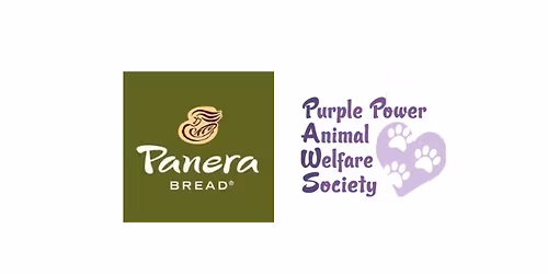Panera All-Day Fundraiser Benefitting Purple PAWS