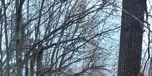 Rajd pieszy ,, W Labiryncie w\u0105woz\u00f3w"