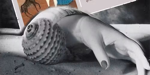 Learning to Look - Women of Surrealism