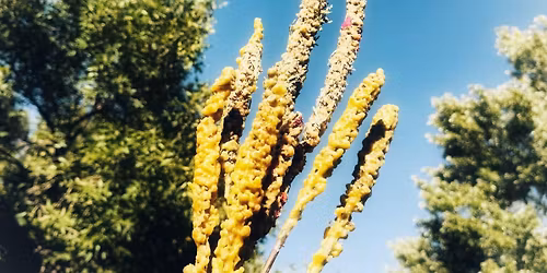 {IN PERSON} RECLAIMING THE WITCH