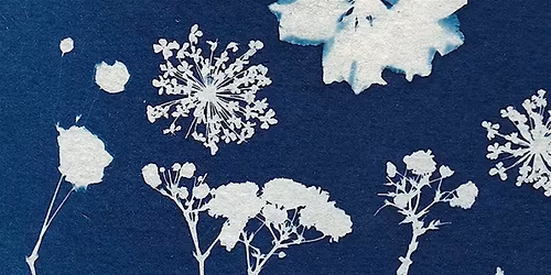 Botanical Cyanotypes