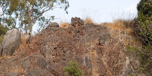 Deep Time Geology of the Arboretum